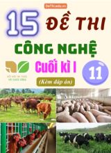 Tuyển tập 15 Đề thi Công nghệ Lớp 11 cuối Kì 1 sách Kết Nối Tri Thức (Kèm đáp án)